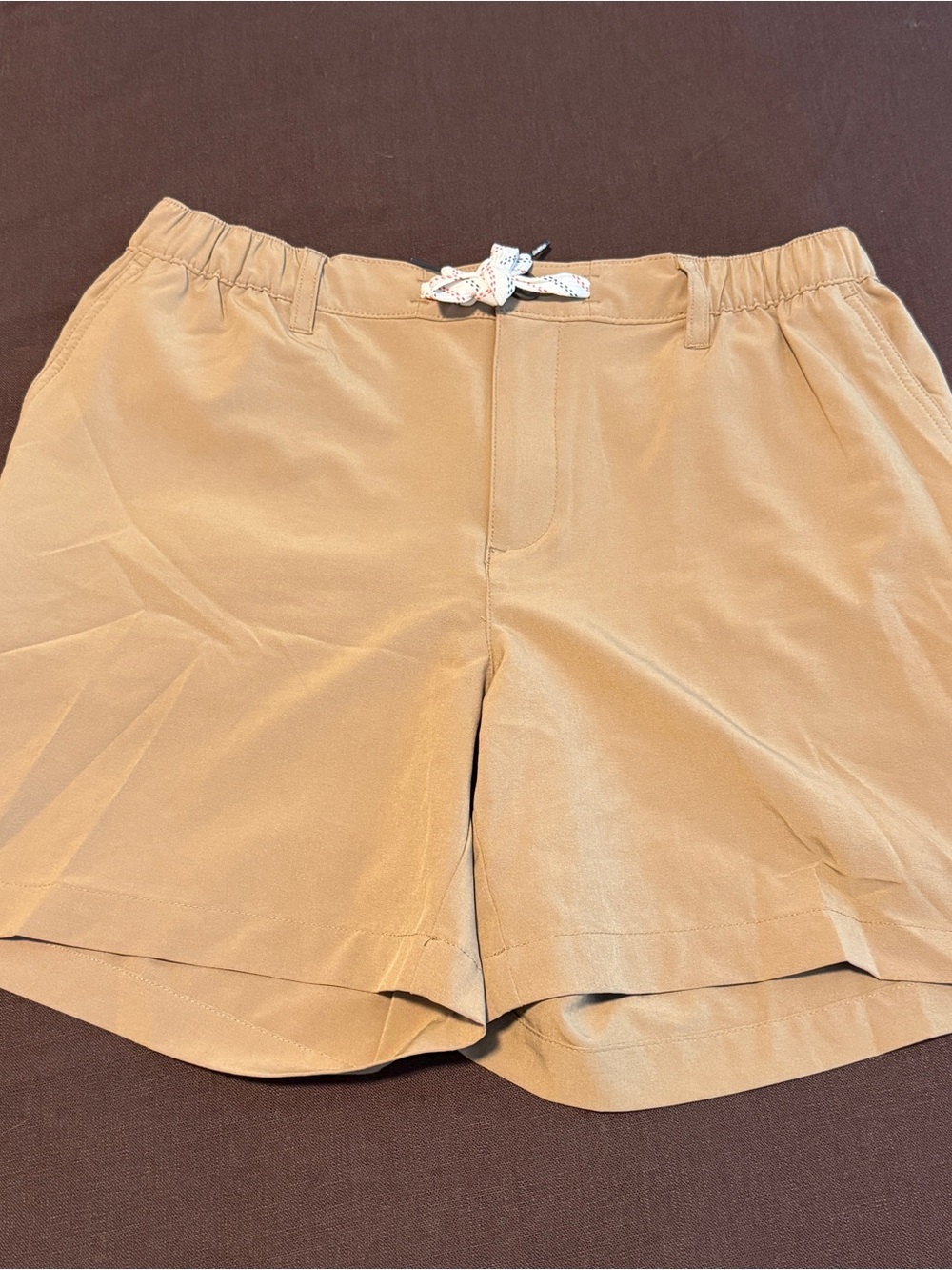 Chubbies | Men’s Tan drawstring Shorts - 6”